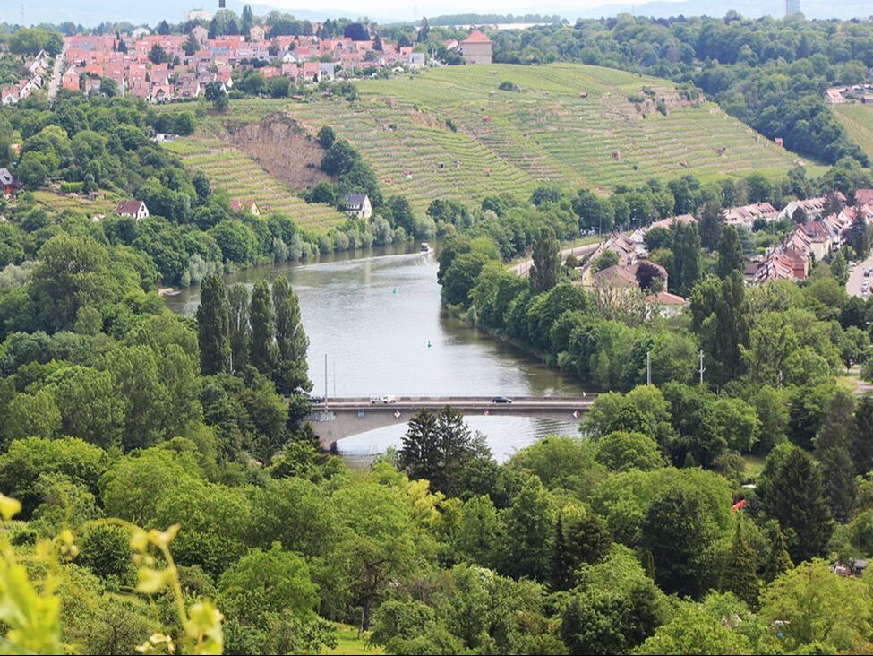 Tour en el rio Neckar
